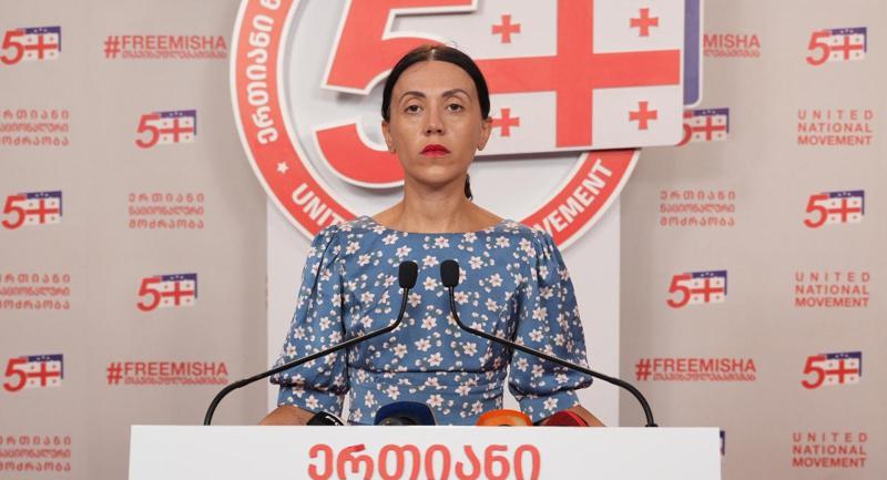 Ana Tsitlidze - 限制移民投票的唯一动机是进一步加强格鲁吉亚梦想的权力。