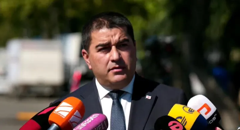 Shalva Papuashvili: I would like to remind the public that the “Molotov cocktail” campaign was financed from the EU budget