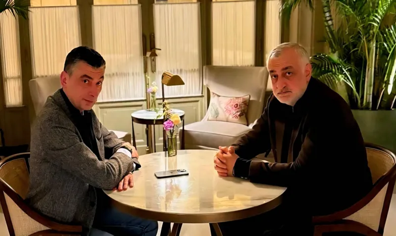 Giorgi Gakharia and Mamuka Khazaradze hold meeting, issue joint statement on memorandum signed between parties