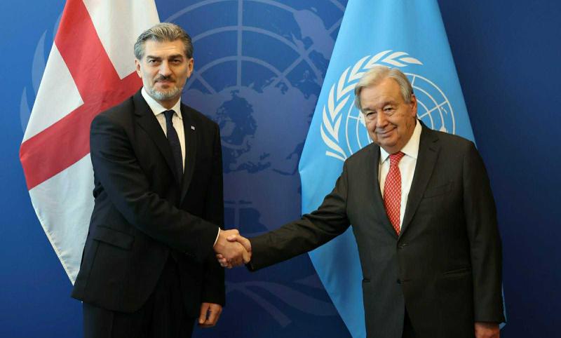 米克海尔·卡维拉什维利会见联合国秘书长。