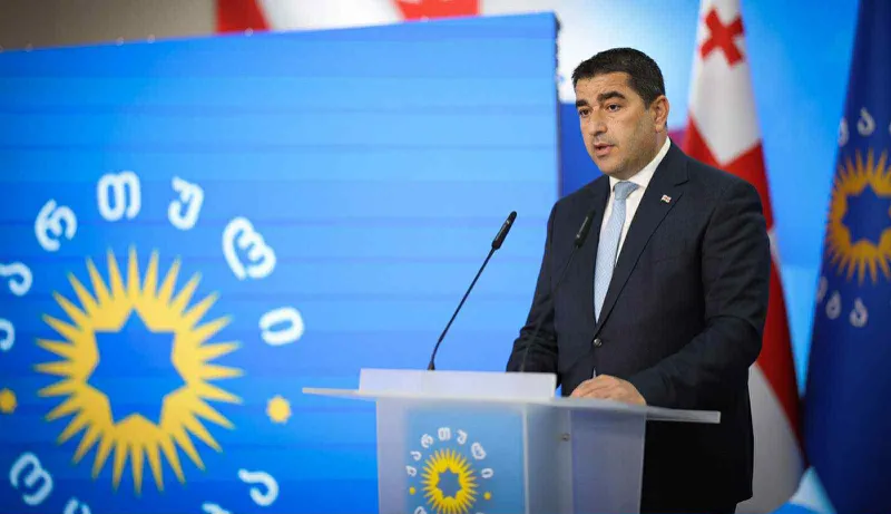 Shalva Papuashvili on arrested doctor Giorgi Chakhunashvili: If he had the courage to enter the yard of the President's residence, he should take responsibility - everyone has a profession: a thief, a robber, and a government overthrower!