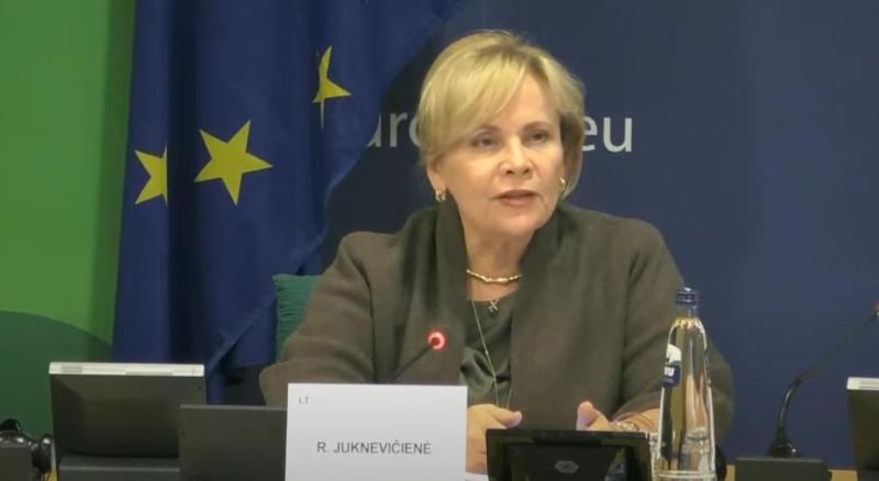 Rasa Yukneviciene: 没有人想惩罚格鲁吉亚人民，但是免签旅行有特定的标准，所有国家必须遵守——该政权的傀儡和该政权不能从免签旅行中获益。