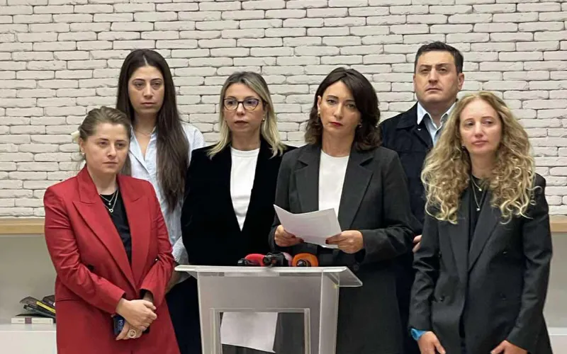 Some non-governmental organizations: Detentions are selective, targeting well-known public figures - the reason for these laws and their enforcement is the government's fear of ongoing protests in Georgia