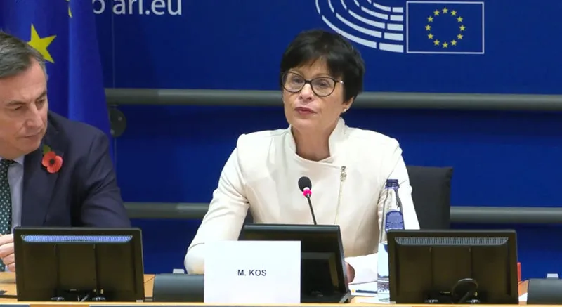 Marta Kos: The Commission considers Georgia a candidate country in the name only