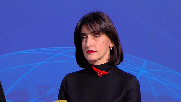 Maka Botchorishvili: No one in Georgia curses or attacks foreign diplomats