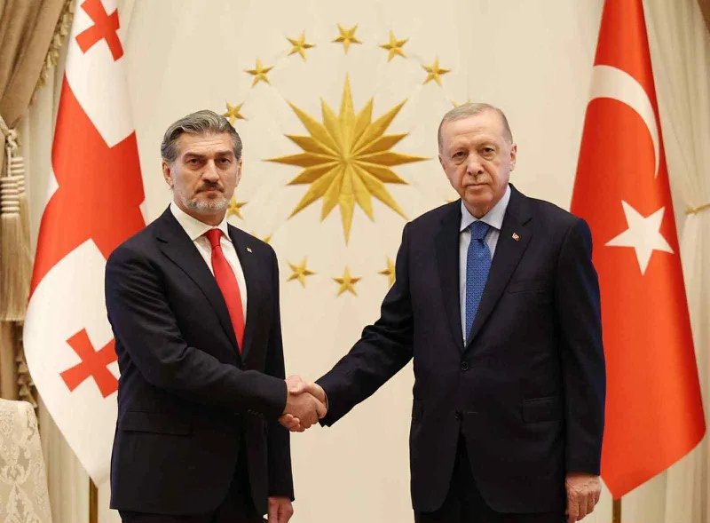 Mikheil Kavelashvili talks with Recep Tayyip Erdogan over the phone