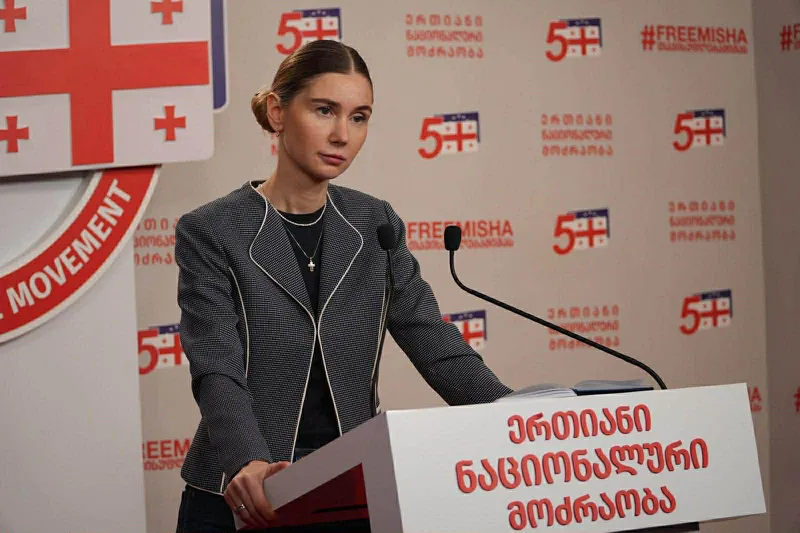 Tina Bokuchava - Mikheil Saakashvili's post was unexpected - it is extremely sad for me and I believe that it is precisely such impulsive and inconsistent decisions that have led us to where we are