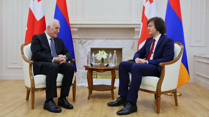 Մեր ընդհանուր ցանկությունն է տարածաշրջանում խաղաղություն և ներքաղաքական կայունություն-Վահագն Խաչատուրյանը Վրաստան այցի ժամանակ