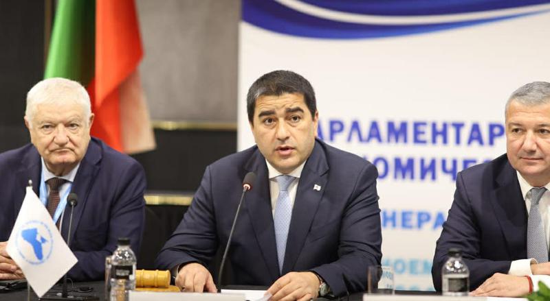 Shalva Papuashvili - 乌克兰的公正而可持续的和平不仅仅对乌克兰人民必要，而且对欧洲和黑海地区的稳定也必要，因此我们确认我们对实现和平努力的支持。