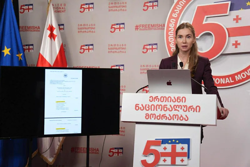 Tina Bokuchava: Ivanishvili’s underlings are lying to him when they say that if he takes more “live hostages”, the West might sit down at the negotiating table with him and that by jailing political opponents he can get his billion dollars back