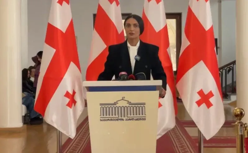 Vika Pilpani on the October 28 rally: We will not be anywhere where the ‘National Movement’ is present