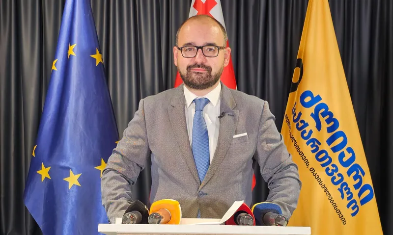 Grigol Gegelia: Marta Kos’s statement once again makes it clear that Georgia still has every opportunity to move rapidly toward the European family if it fulfills its obligations