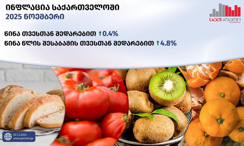 根据Geostat数据，在2025年11月，与上个月相比，格鲁吉亚的通胀率达到0.4%，而年度通胀率达到4.8%。