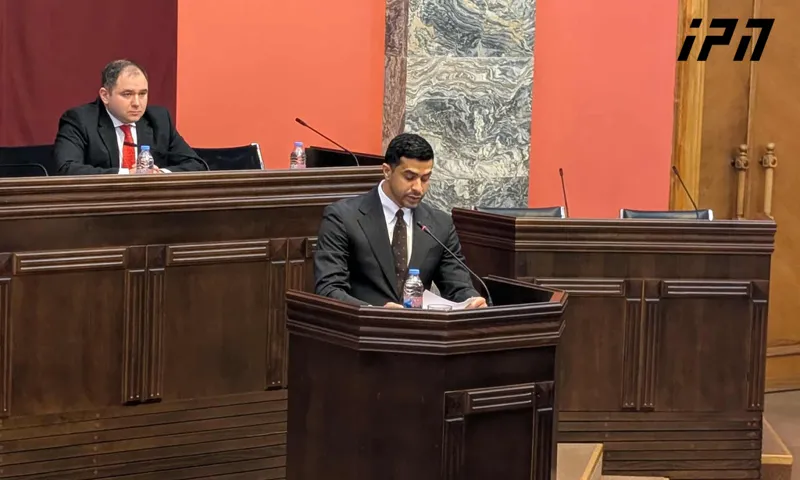 Ambassador of United Arab Emirates being heard at Parliamentary Foreign Relations Committee session