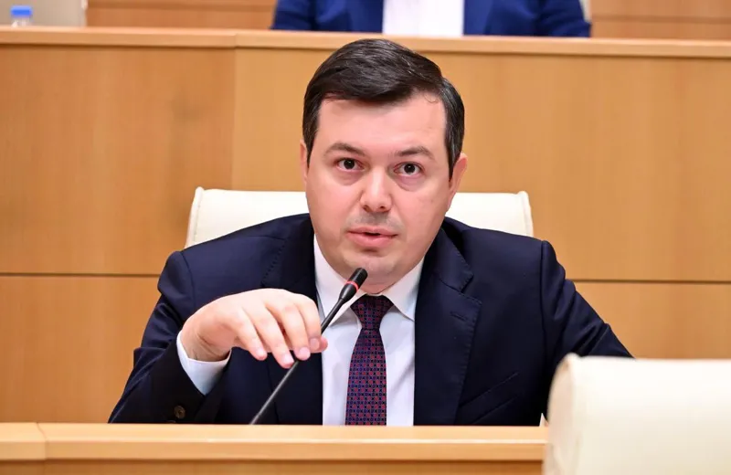 Giga Parulava: You are telling us that you need to regulate migration and strengthen agencies, but where have you been until now? Why wasn’t an effective immigration policy formed before? - The problem is not only in migrants, but in institutional capabilities