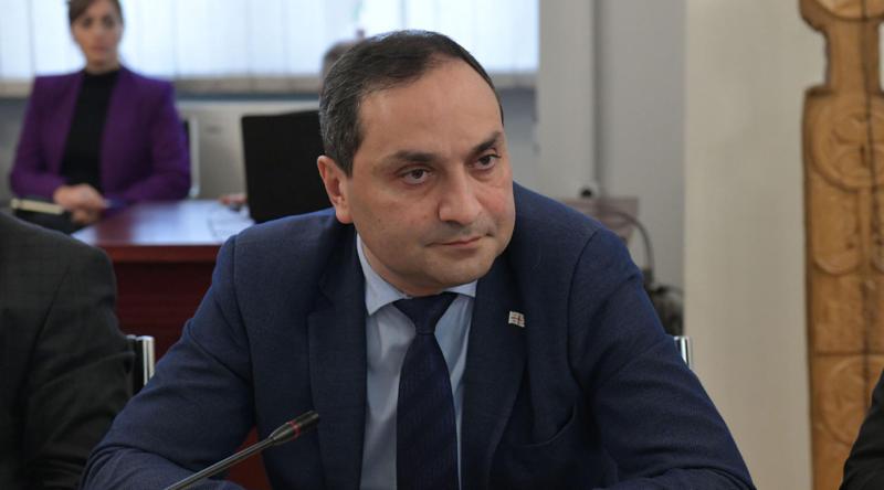 Zviad Gabisonia：政府将确定学生配额和教育计划——配额将基于劳动力市场需求，并且具体领域将由政府根据其优先事项来定义。