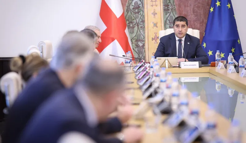 Shalva Papuashvili: As if Georgia were the initiator of World War I, a major participant in it, or as if chemical weapons were our invention - this slander has been exposed - If international institutions have questions, the authorities are ready to provide information