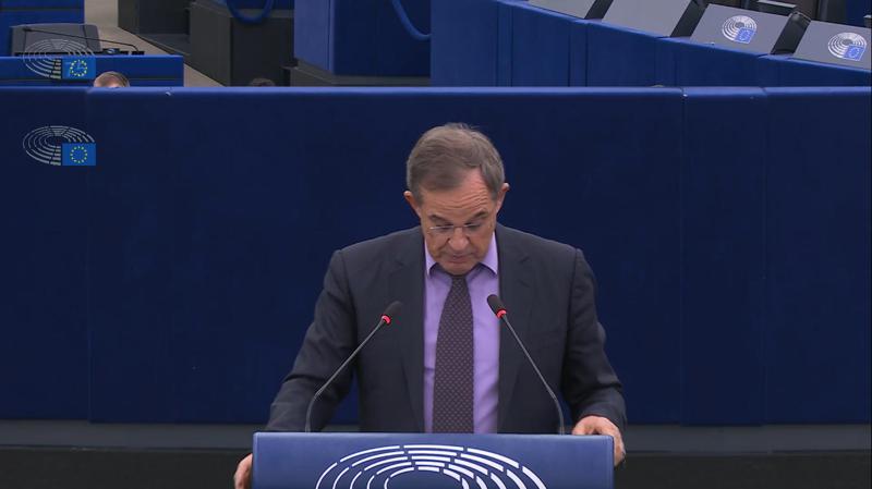 MEP: 你梦想推翻格鲁吉亚政府——你指责它犯有不正当行为，而它正试图保护宪法秩序并抵抗破坏稳定的企图。