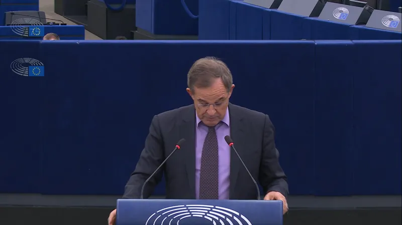 MEP: You dream of overthrowing the Georgian Government - You accuse it of wrongdoing while it is trying to protect the constitutional order and resist attempts at destabilization