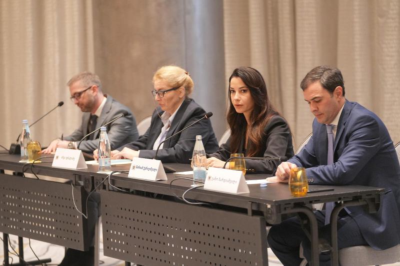 玛丽亚姆·克维里什维利 – 能源部门累积罚款的注销不会是无条件的 – 投资者必须确定一个新的、合理的项目实施截止期限。