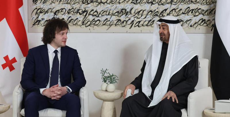 伊拉克利·科巴希泽会见阿联酋总统