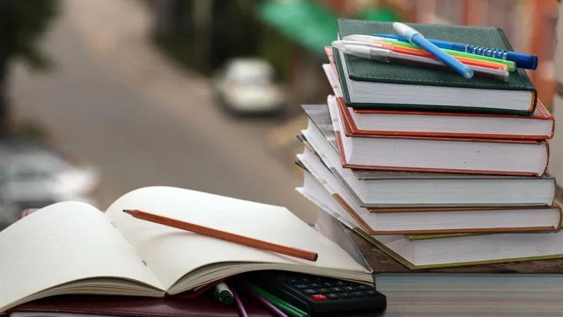 Chemistry teaching in schools will start from the 7th grade, the Georgian Language and Literature subject will be divided, Georgian History will be studied as a separate subject, and students will no longer study World History from the 10th grade