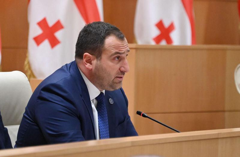 Irakli Kirtskhalia - 犯罪率在瑞典增加令人  担忧，我们对贵国经济停滞表示担忧，以及贵国公民不得不长时间等待治疗的事实。