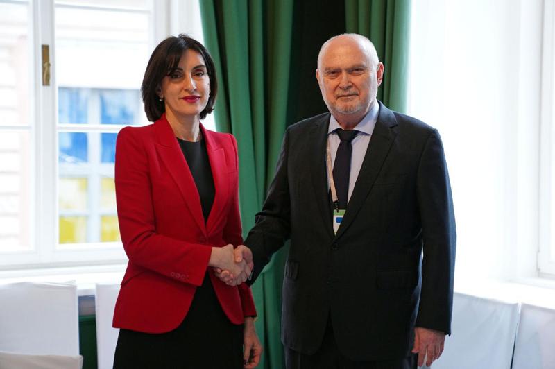 Maka Bochorishvili 会见欧安组织秘书长。