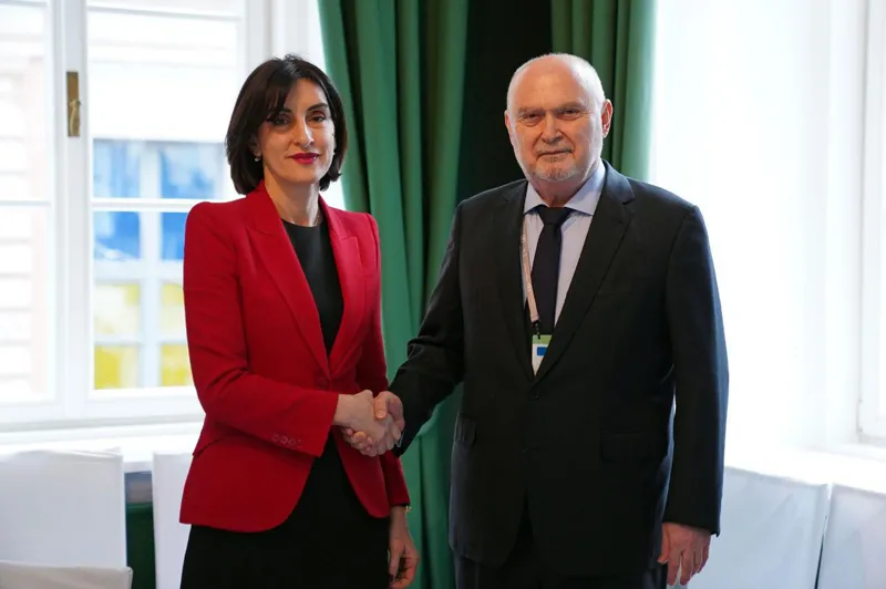 Maka Bochorishvili meets with OSCE Secretary General