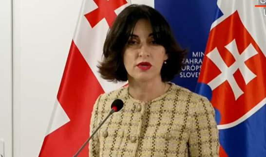 Maka Bochorishvili：我们经常看到布鲁塞尔如何将欧洲一体化进程用作政治工具——我们很高兴斯洛伐克支持格鲁吉亚真诚的融入欧盟的愿望。