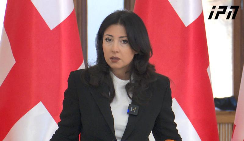 塔塔·赫韦德利亚尼——遗憾的是，莫斯科机制已被激活，虽然梦想党应得此报——我们向专家提供了关于严重人权侵犯的信息，以及针对吉奥吉·加哈里亚的政治报复正在进行。