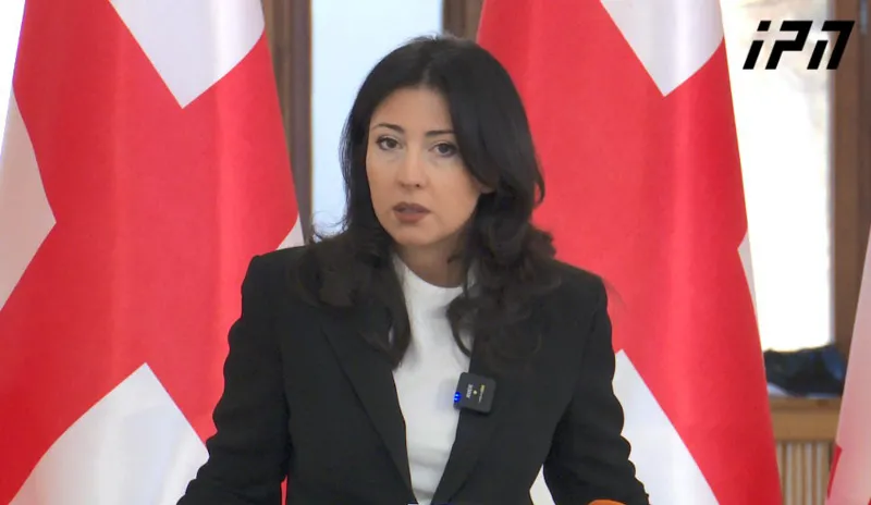 თათა ხვედელიანი აშშ სთან ურთიერთობის გადატვირთვისკენ ნაბიჯების გადადგმა რომ შესაძლებელი ყოფილიყო, დელეგაცია მაღალი თანამდებობის პირებისგან შედგებოდა რ...