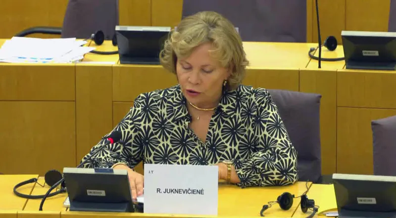 European Parliament's Foreign Affairs Committee discussing report on Georgia