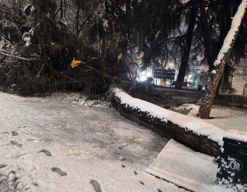 第比利斯市政厅：强降水在第比利斯造成了问题——城市基础设施已损坏，输电杆已倒塌，并记录了树枝折断和树木被连根拔起的案例。