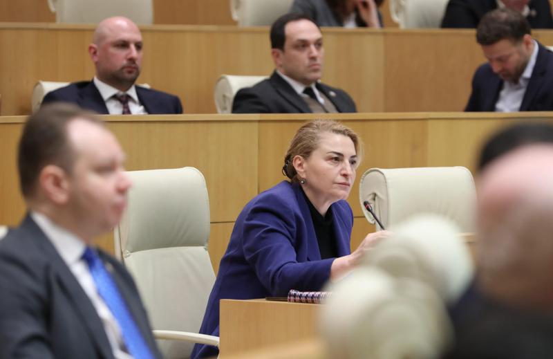 索菲亚·霍尔古阿尼 对多数派说：我有似曾相识的感觉！——这感觉就像“国家运动”政府的最后日子——正如米哈伊尔·萨卡什维利 把宪法和法律像西装一样穿戴，你们也在做同样的事！