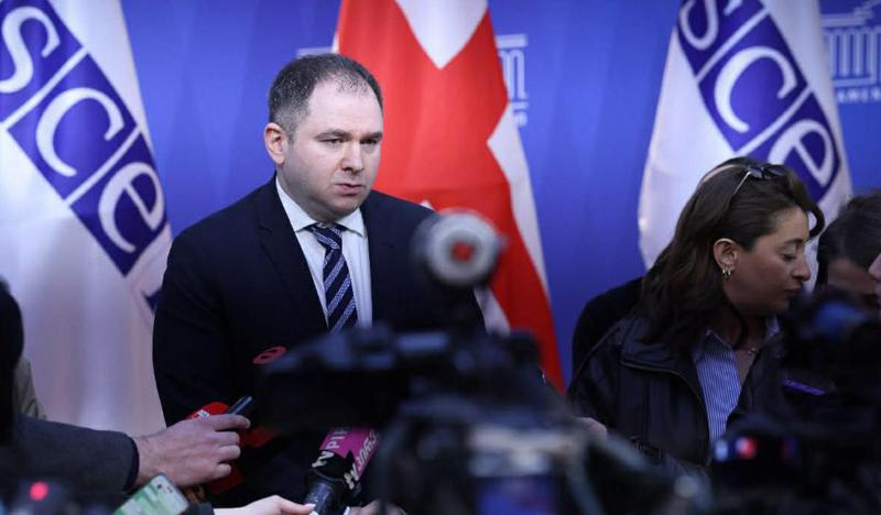 尼科洛兹·萨姆哈拉泽——欧安组织议会大会谴责对机构的攻击以及推翻政府的暴力企图，这一点很重要。