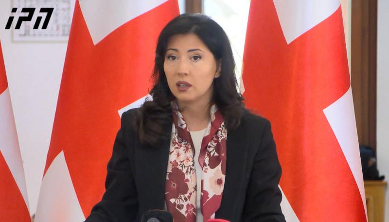 塔塔·赫韦德利亚尼——对话是一个非常重要  的工具，并且是应该在国家中建立的既定事实，但是这个对话正被两个势力破坏——格鲁吉亚梦想党和国家运动党。