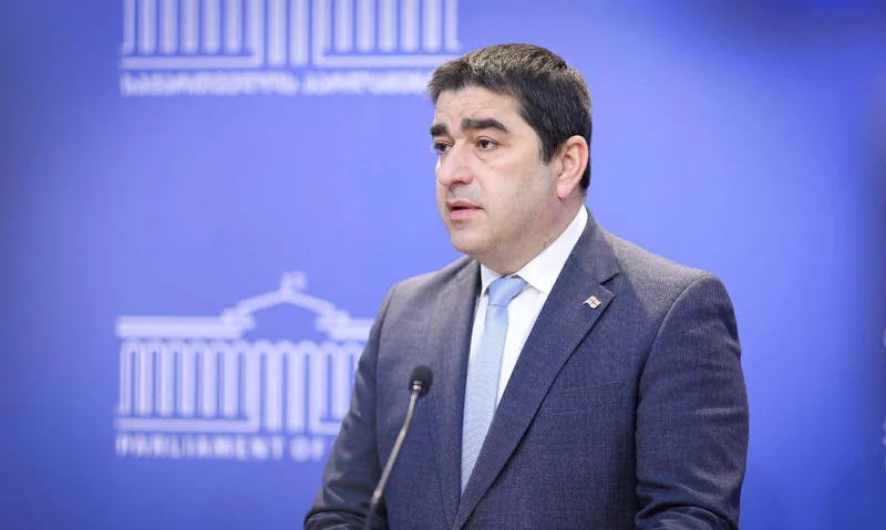 შალვა პაპუაშვილი ლელოსთან ჩვენ არაფერი გვაქვს სალაპარაკო, მათ კი საკონსტიტუციო სასამართლოს დაელაპარაკონ, მათი ზოგიერთი წევრი კი სისხლის სამართლის სასა...