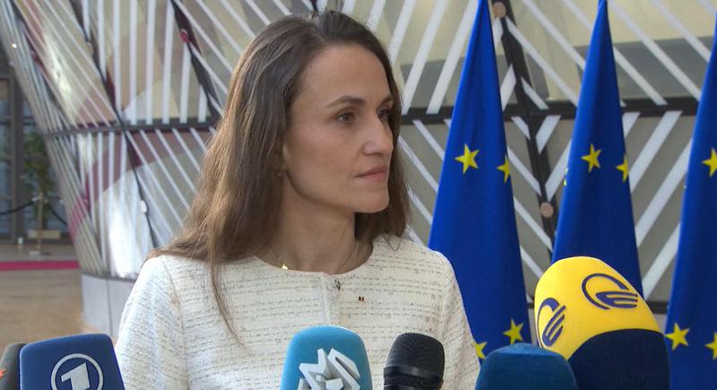 罗马尼亚外交部长：我们希望看到格鲁吉亚重新走上欧洲道路，并且在政治决策中考虑到其公民的意愿。