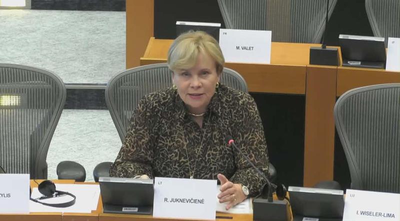 拉萨·尤克涅维契ienė——比齐纳·伊万尼什维利从未希望格鲁吉亚加入欧盟——成员国有权改变欧盟政策，我希望这种做法会改变。