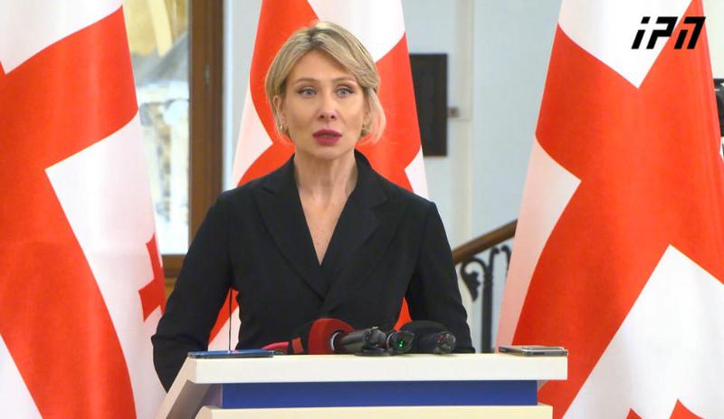 尼诺·齐洛萨尼——如果埃琳·霍什塔里亚考虑过她自己的孩子，她就不会在国家组织一场革命——她是一个罪犯，不是英雄，不是政治犯。