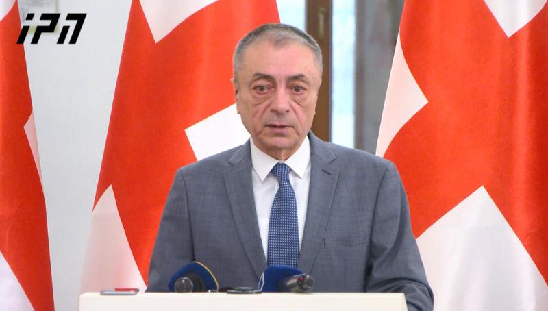 腾吉兹·沙尔马纳什维利关于在欧洲委员会大会上计划讨论格鲁吉亚 - 骆驼也会跪在他们的门前，因为激进分子不仅在我们国家，他们也在他们的国家