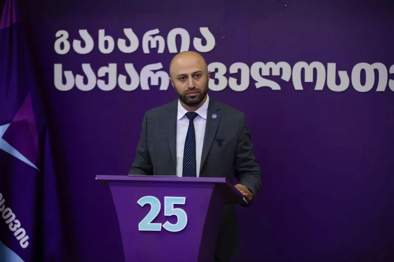 Berdia Sitchinava - The judge did not attach the conclusion of the Moscow Mechanism to the June 20 case, but did attach the conclusion of the Tea Tsulukiani Commission