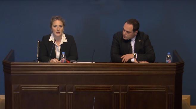 Mariam Lashkhi 在文化委员会关于与艺术机构负责人的听证会会议上：我们必须确保我们有有尊严的个人，他们不会将舞台用作政治工具。