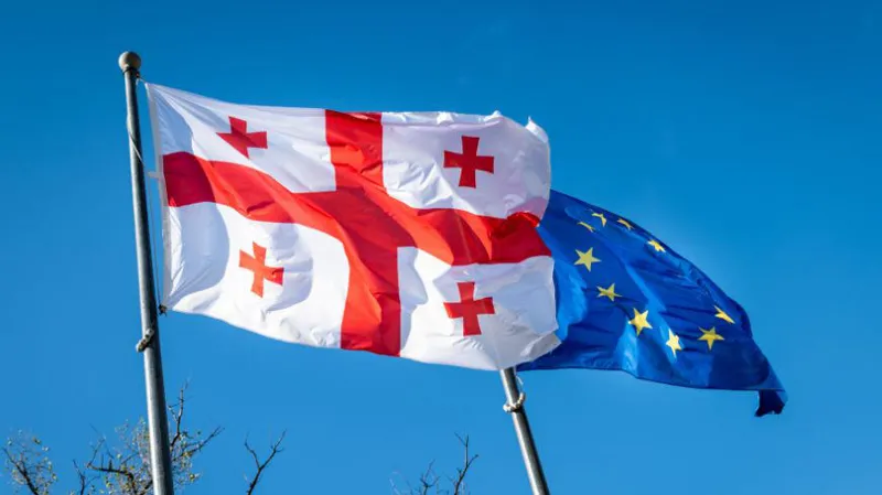 Council of Europe Committee of Ministers calls on Georgian authorities to review legislation