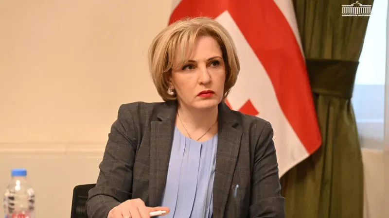 ეკა სეფაშვილი დაჯი კოვზირიძეს ოპოზიცია გგონიათ?! უცხოეთიდან დაფინანსებული აგენტი ხარ საქართველოში სიტუაციის ჩაშლის მიზნით! ჯობია შენს მოღალატეს გახარი...