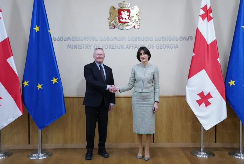 მაკა ბოჭორიშვილი ევროპის საბჭოს ადამიანის უფლებათა კომისარს მაიკლ ო ფლაერტის შეხვდა