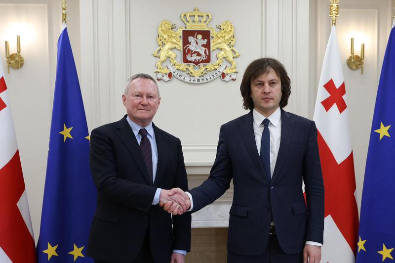 伊拉克利·科巴希泽会见欧洲委员会人权专员。