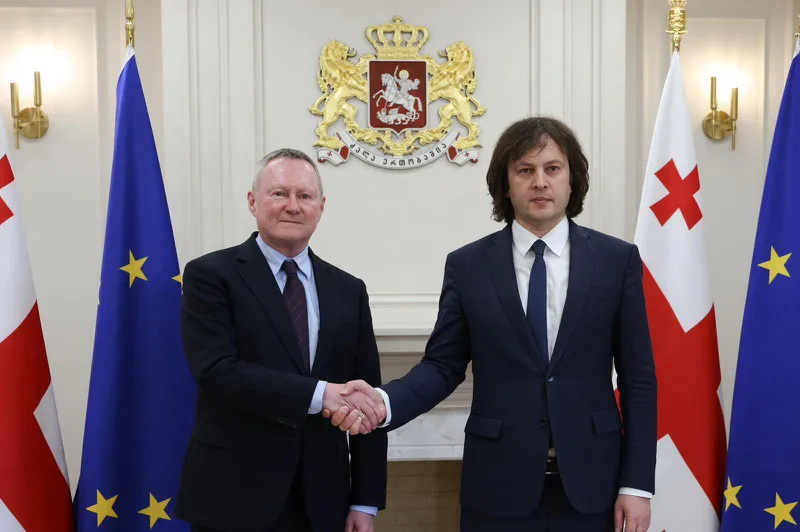 ირაკლი კობახიძე ევროპის საბჭოს ადამიანის უფლებათა კომისარს ხვდება