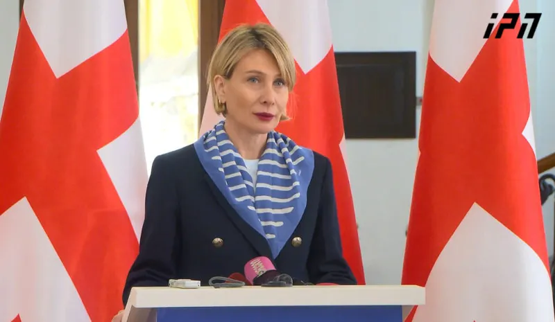 Nino Tsilosani: It is strange: what has outraged our European bureaucrats, the OSCE, ALDE, and the European Commission spokesperson? After all, haven't they themselves set a precedent by banning political parties?